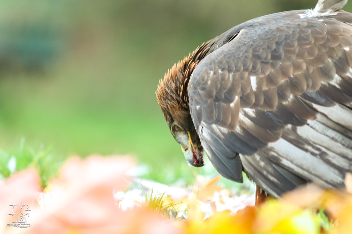 20211023 AK6I9973 insta